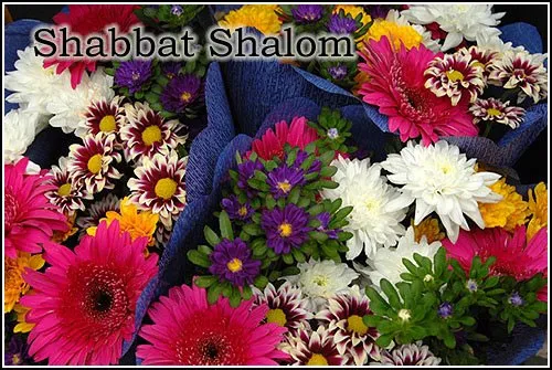 Shabbat Shalom Greeting Cards 17460