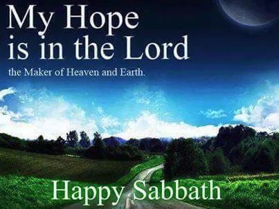 Shabbat Shalom Greeting Cards 17442