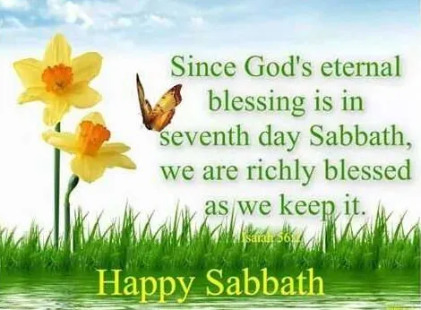 Shabbat Shalom Greeting Cards 17458