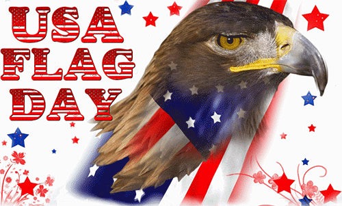 Flag Day Greeting Cards 20130