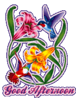Good Afternoon Greetings Greeting Cards 98704
