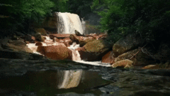 West Virginia Day Greeting Cards 101615