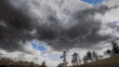 Clouds Greetings Greeting Cards 98064