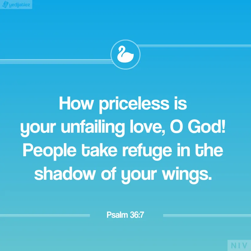 Bible Verses Greetings Greeting Cards 22575