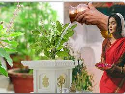 Tulsi Vivha Greeting Cards 