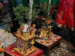 Tulsi Vivha Greeting Cards 