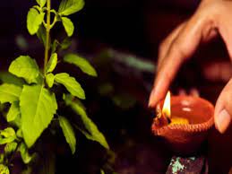 Tulsi Vivha Greeting Cards 