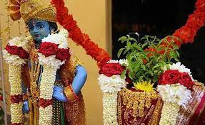 Tulsi Vivha Greeting Cards 