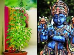 Tulsi Vivha Greeting Cards 