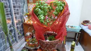 Tulsi Vivha Greeting Cards 