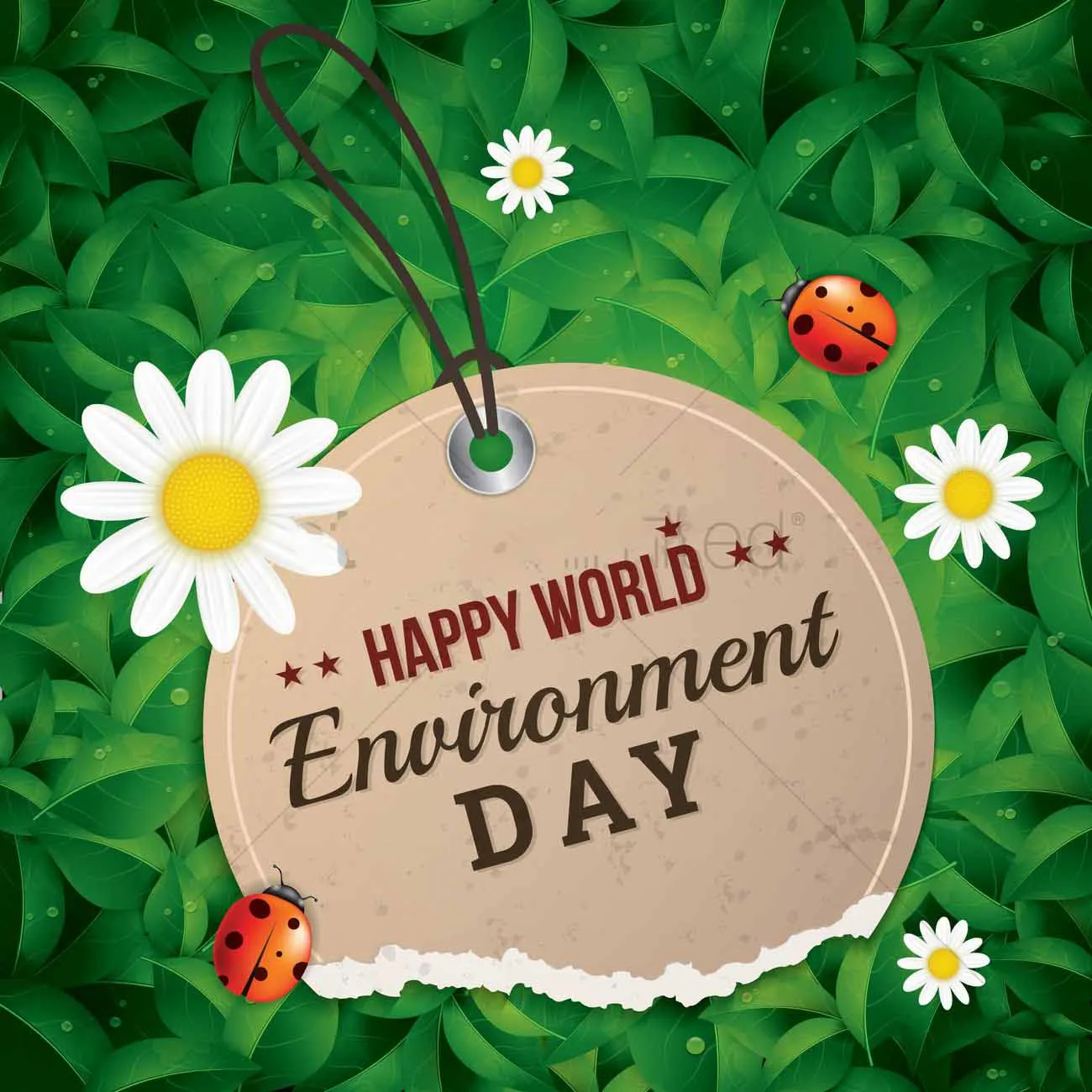 Environemnt Day Greeting Cards 