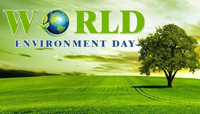 Environemnt Day Greeting Cards 