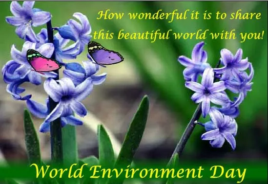Environemnt Day Greeting Cards 