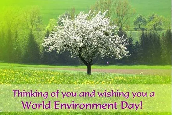 Environemnt Day Greeting Cards 