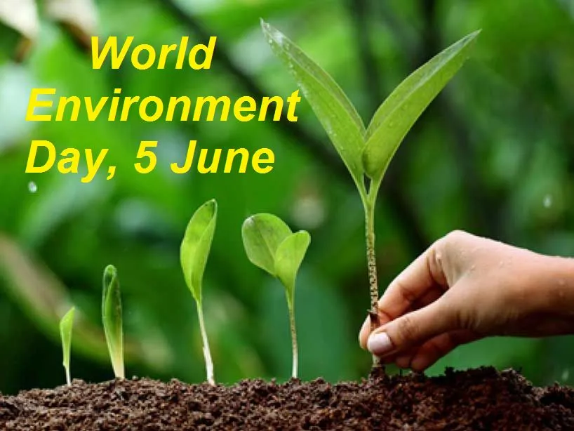 Environemnt Day Greeting Cards 