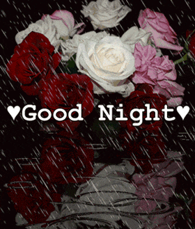 Good Night Greetings Greeting Cards 9205