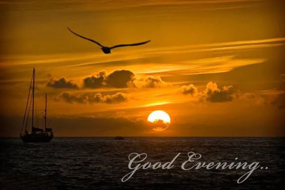Good Evening Greetings Greeting Cards 8930