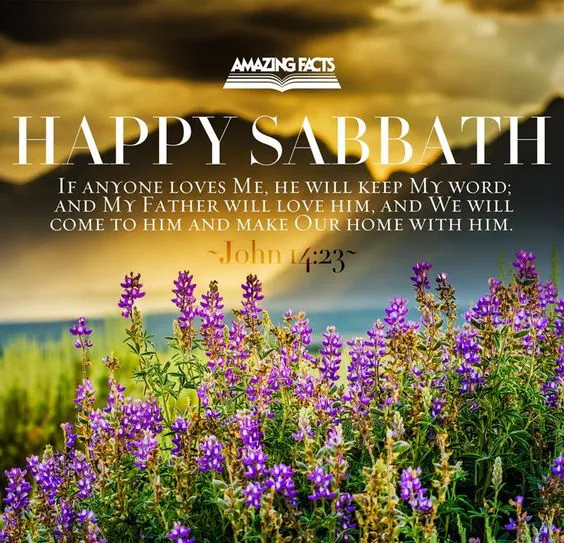 Shabbat Shalom Greeting Cards 51578