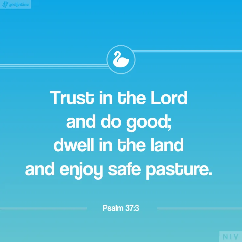 Bible Verses Greetings Greeting Cards 22550