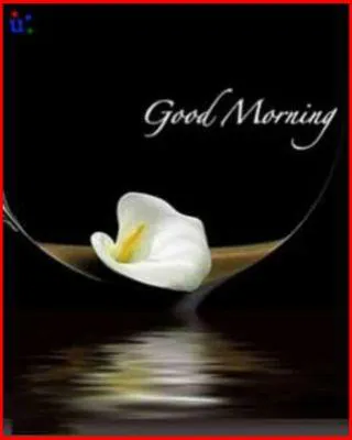 Good Morning Wishes Greeting Cards 6744