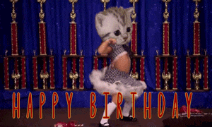 Birthday Greetings Greeting Cards 4375