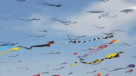 Makar Sankranti Greeting Cards 100537