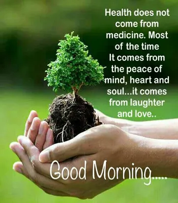 Good Morning Wishes Greeting Cards 25484