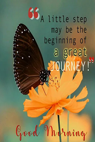 Good Morning Wishes Greeting Cards 25578