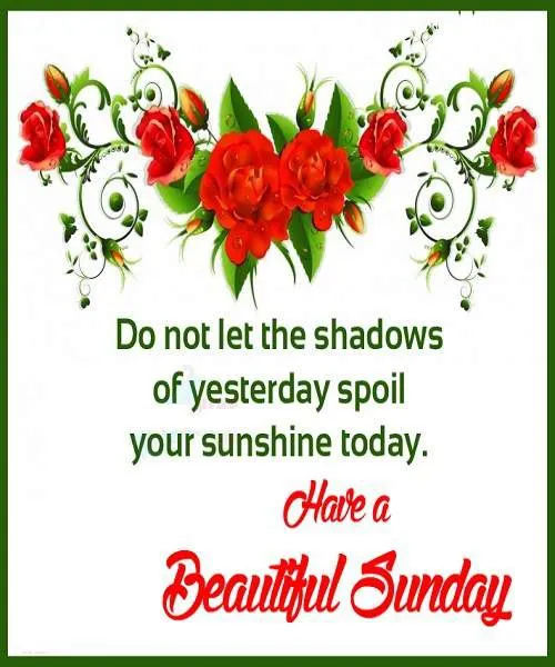Sunday Greetings Greeting Cards 10071