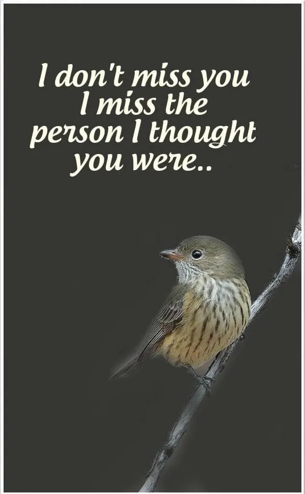 I Miss You Greetings Greeting Cards 13474