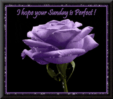Sunday Greetings Greeting Cards 10188
