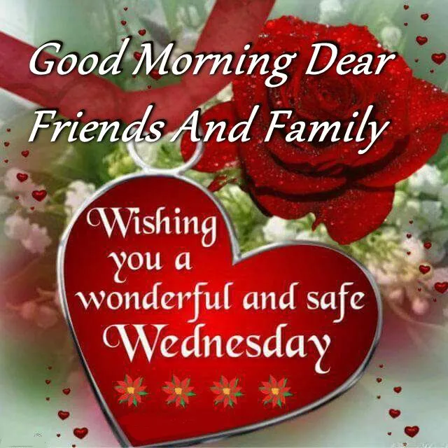 Everyday Greetings Greeting Cards 14505