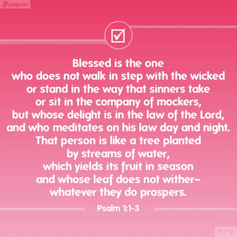 Bible Verses Greetings Greeting Cards 22521