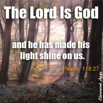 Bible Verses Greetings Greeting Cards 22346
