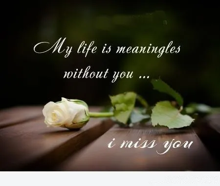 I Miss You Greetings Greeting Cards 13429