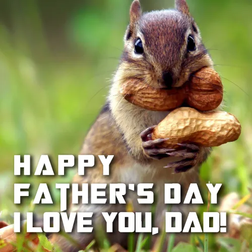 Fathers Day Greeting Cards 47474