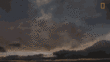 Clouds Greetings Greeting Cards 98078