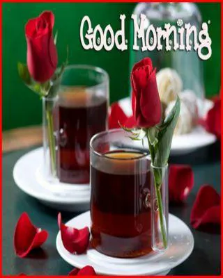 Good Morning Wishes Greeting Cards 6728