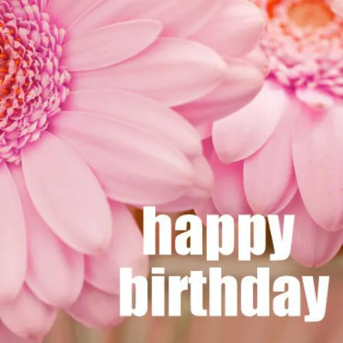 Birthday Greetings Greeting Cards 3287