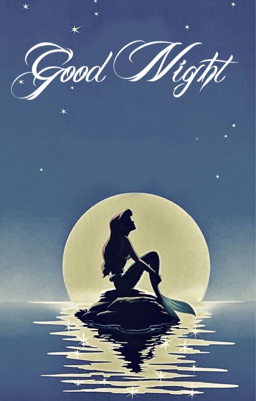 Good Night Greetings Greeting Cards 98850