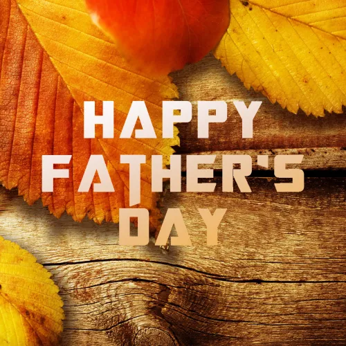 Fathers Day Greeting Cards 47475