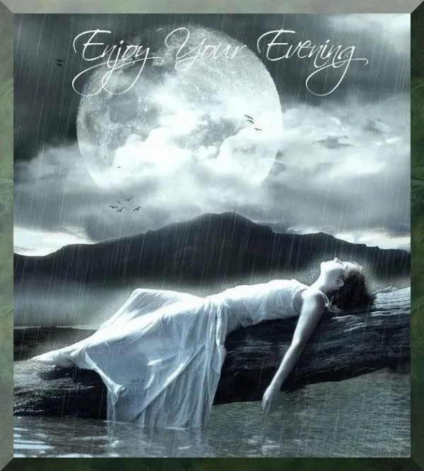 Good Evening Greetings Greeting Cards 8735
