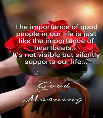 Good Morning Wishes Greeting Cards 25501