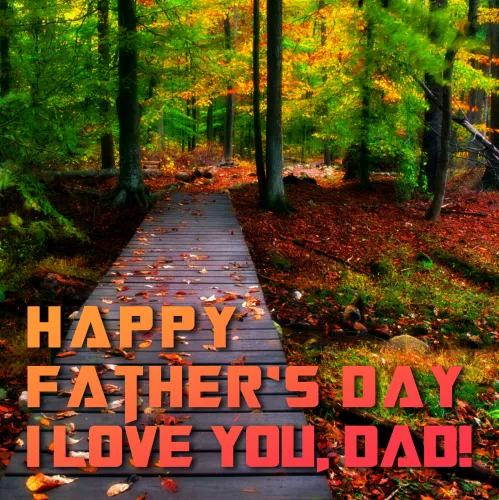 Fathers Day Greeting Cards 47478