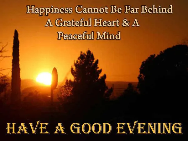 Good Evening Greetings Greeting Cards 9001