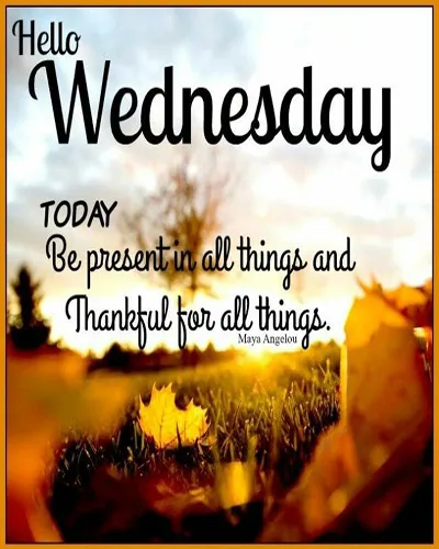 Everyday Greetings Greeting Cards 24761