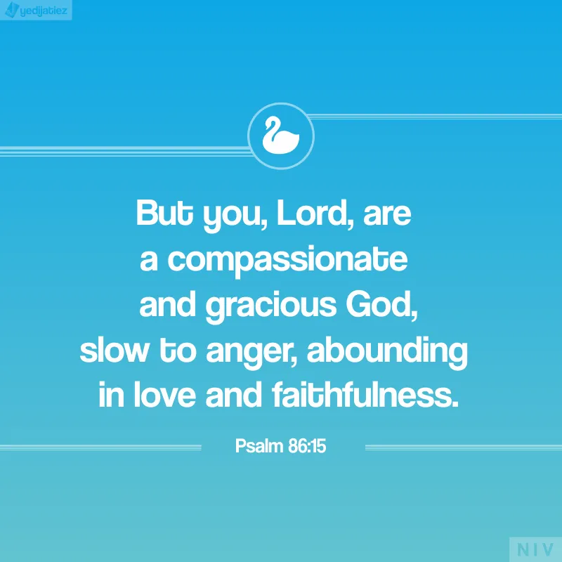 Bible Verses Greetings Greeting Cards 22556