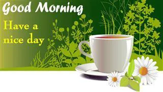 Good Morning Wishes Greeting Cards 6755