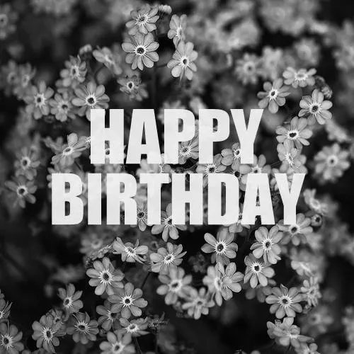 Birthday Greetings Greeting Cards 3317