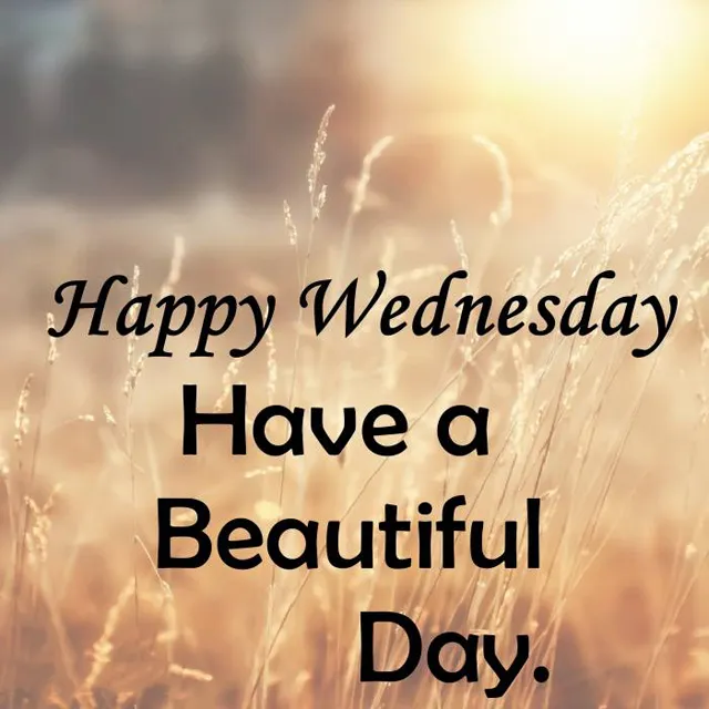 Everyday Greetings Greeting Cards 14509
